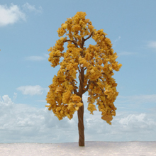 model trees